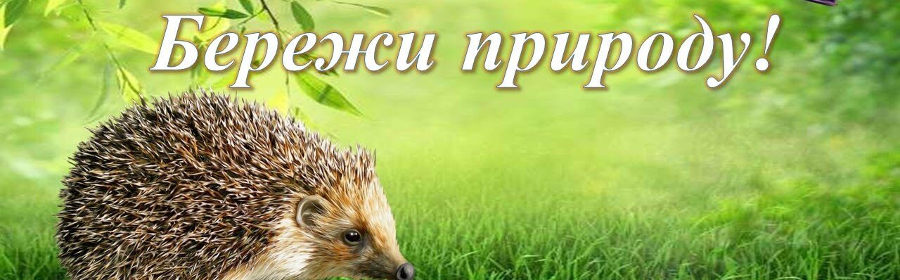 #Цікаві_уроки