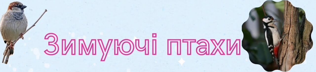 #Цікаві_уроки